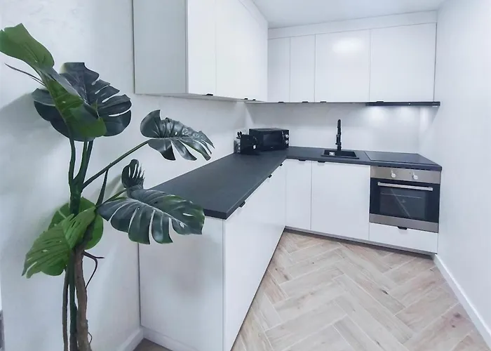 Apartament Alfa Doppelzimmer Teekueche Porsche Bosch L Gemeinschaftsbad Wifi Smarttv L Double With Kitchenette And Shared Bathroom Bs21a9 *